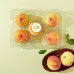 저탄소 황도 복숭아 1.2kg (4~7입)/팩
