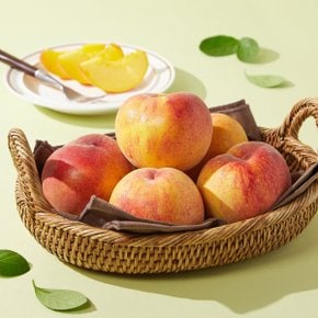 저탄소 황도 복숭아 1.2kg (4~7입)/팩