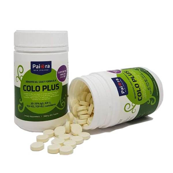 뉴질랜드 초유 산양유 단백질 콜로 플러스 산양초유 300정 2개