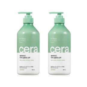 애경 더마앤모어 세라마이드 샴푸 600ml 2개