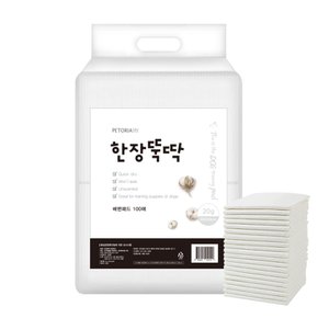 라이트 강아지 애견 패드 20g 100매 40x50cm