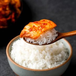 [전라도 청년] 당일생산 국내산 전라도김치 배추김치 5kg