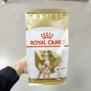 푸들 어덜트 500g