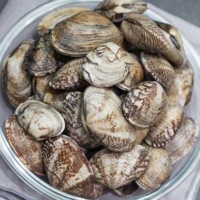속이 알찬 남해안 왕바지락/깐바지락 500g~1kg