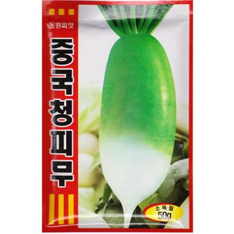 영농사 중국청피 무씨앗 50g