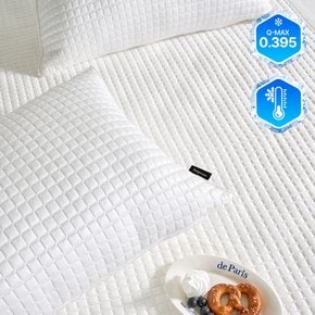 듀라쿨맥스 프리미엄 여름 접촉 냉감 베개커버 50x70 화이트 1장