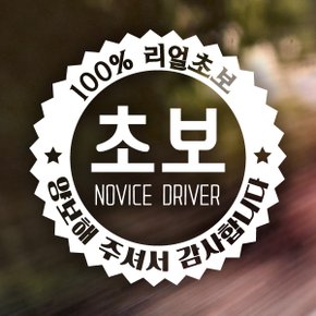 지그재그 엠블렘 초보 / 초보운전 반사스티커 자동차스티커