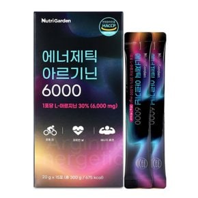 뉴트리가든 에너제틱 아르기닌 6000 20g x15포