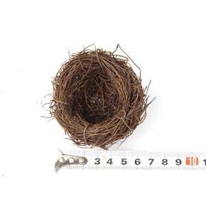 야외 정원 장식 데코 잔디 새둥지 집 인조 모형 6CM