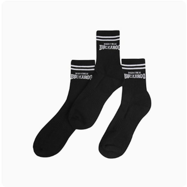 확대된 대표 IMAGE1