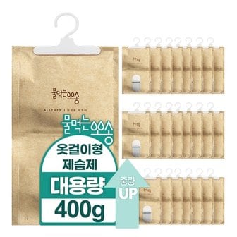  매일매일이 뽀송한 옷장용 옷걸이형 제습제 습기제거제 400g 24입