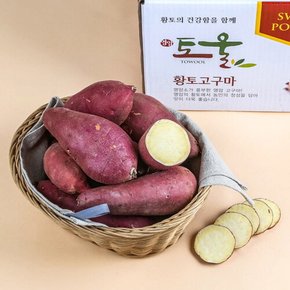 입소문난 토울고구마 꿀고구마 10kg 긴상/긴중