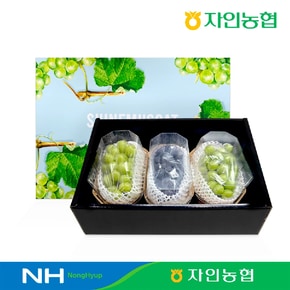 [농협]GAP샤인머스켓+거봉 혼합 선물세트 2kg (3수/한 수당 650g 이상)