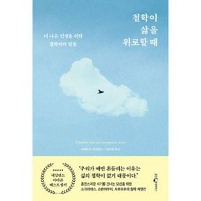 철학이 삶을 위로할 때 : 더 나은 인생을 위한 철학자의 말들