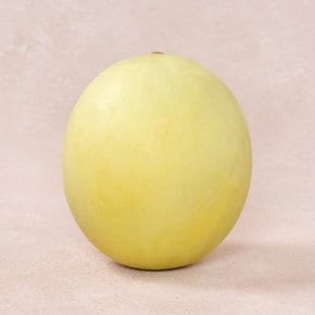 미국산 허니듀 메론 1.8kg내외