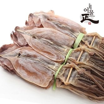 어물정 영덕 당일바리 건조/마른오징어 왕특10미 1kg/국산