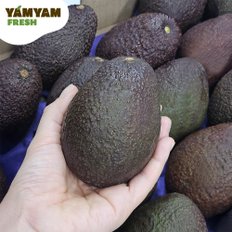[얌얌] 바로 먹어도 되는 후숙 아보카도 1.8kg (7-8입)