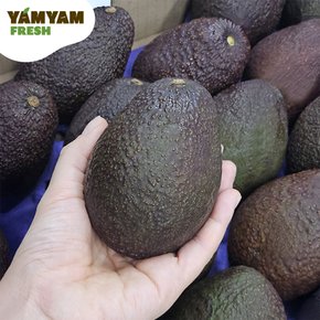 [얌얌] 바로 먹어도 되는 후숙 아보카도 1.8kg (7-8입)