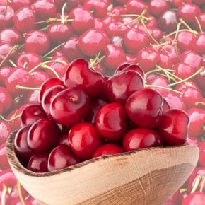 고당도 수입과일 생 체리 (9.5R-10R) 대 500g