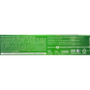 아이씨 쿨민트 치약 250g x4개 / 미국치약 시원 상쾌 쿨민트 치약 고불소 충치예방