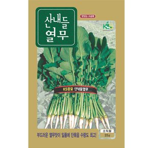 산내들 열무씨앗 25g