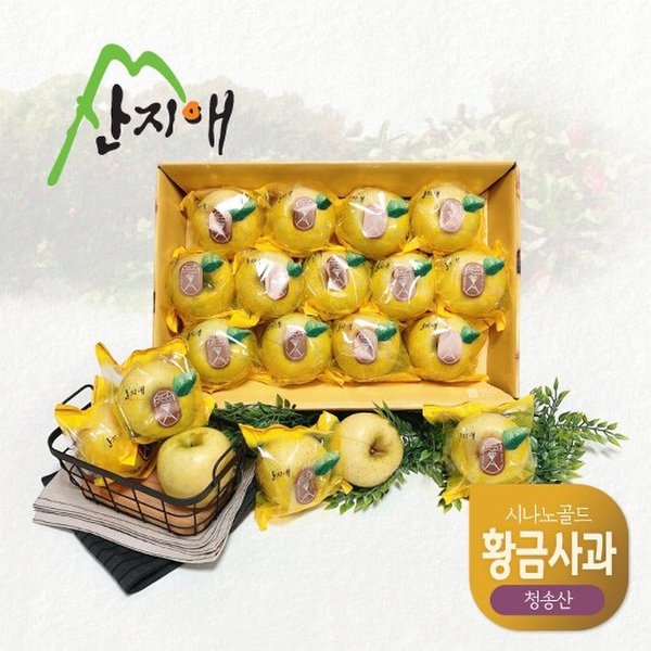 황금사과 시나노골드 3kg 1box / 중과, 청송산 , 당도선별 12brix