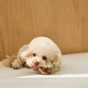 [이정현 Pick] 반려동물 강아지 터키 비프링 J78N901000500