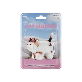 소프트썸네일 Jigoo, Domestic Shorthair