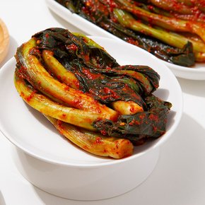 [더조은] 햇살담은 국내산 갓김치 2kg
