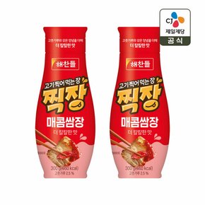 해찬들 고기찍어먹는장 찍장 매콤 쌈장 300g x2개