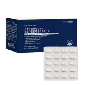 관절연골엔 철갑상어 뮤코다당단백 콘드로이친K 450정 X 1개