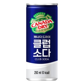 캐나다드라이 클럽소다 250ml 30캔