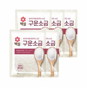 백설 구운소금 500g x5개