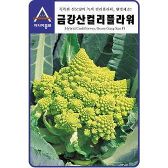 아시아종묘 컬리플라워씨앗종자 금강산70 (100립)