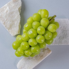 귤타민 유명산지 샤인머스켓 2kg (2-3수)