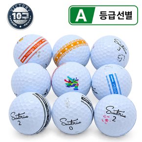 인사이드 트랙 시리즈 혼합 골프 로스트볼 A급  10알/빅토리