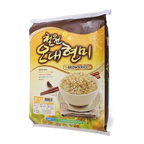 동송농협 철원오대 현미 20kg