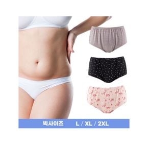 여성 빅 맥시 팬티_P333805808