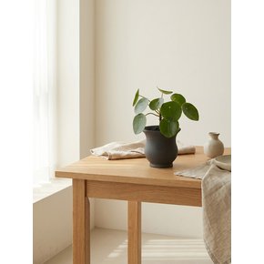 행운을 부르는 식물 필레아페페 Terra Nori Clay Pot(M)