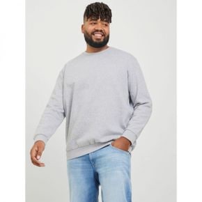 3754264 Jack  Jones JJEBRADLEY CREW - Sweatshirt light grey melange