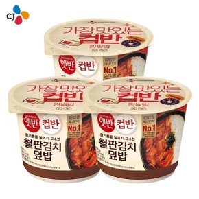 [CJ] 철판김치덮밥 254G 3개