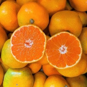 새콤달콤 제주 하우스 감귤 2kg (2S)