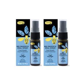 프로폴리스 스프레이 간편 구강케어 20ml X2개