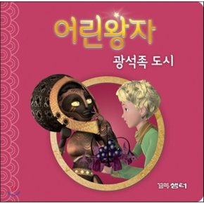 (중고/중)어린왕자 광석족 도시