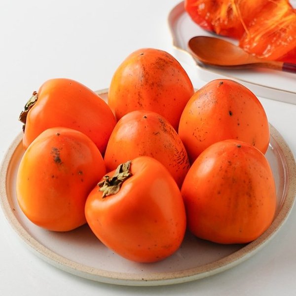 확대된 대표 image1