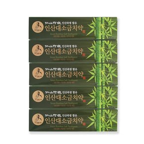 9회 죽염 인산대소금치약 160gx5개 치은염 구강케어