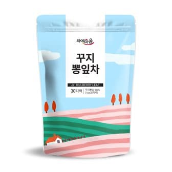 차예마을 국내산 꾸지뽕잎차 30티백..