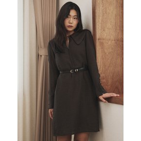 Classic collar dress / Brown