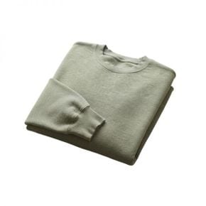 CARHARTT 칼하트 26 034497 3 캐스피언 스웨트셔츠