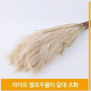 조화 뮬리 갈대 식물 라이트옐로우 홈데코 소품 장식 (S7702498)